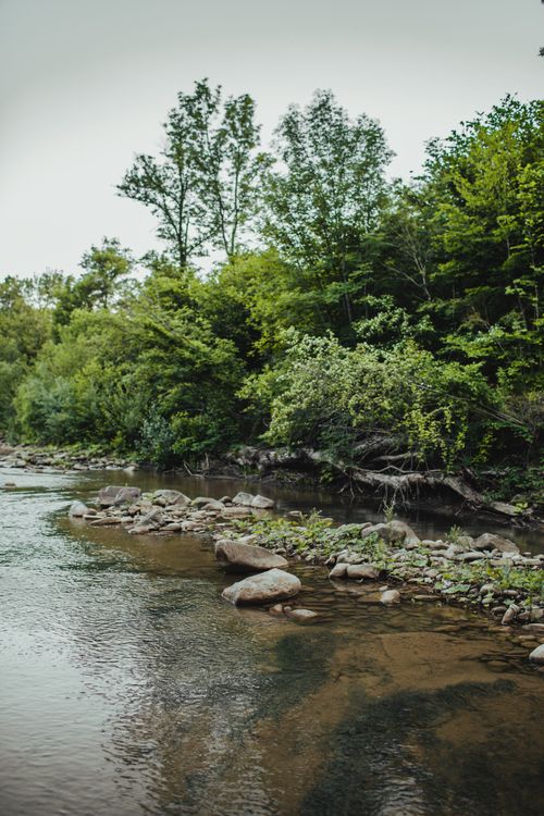 Free A peaceful river flowing through a lush green forest with rocks lining the water's edge. Stock Photo