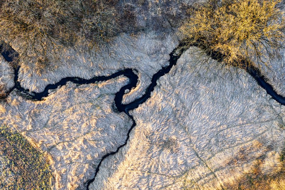 Aerial photograph capturing a meandering stream cutting through frost-covered fields and grasslands.