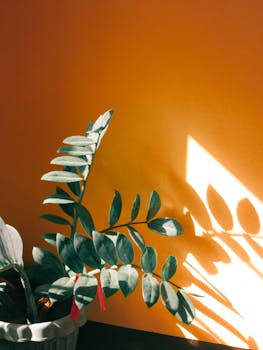 橙色的墙壁上，郁郁葱葱的绿叶盆栽投下阴影，形成鲜明的对比