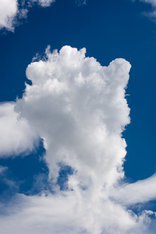 cloudscape, 垂直ショット, 白い雲の無料の写真素材