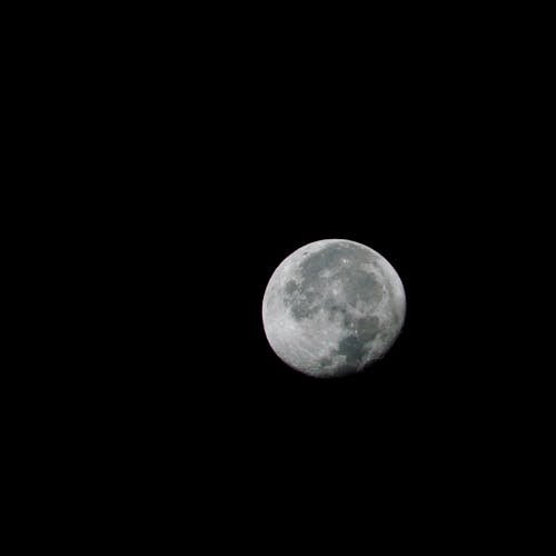 Photos gratuites de ciel de nuit, fermer, format carré