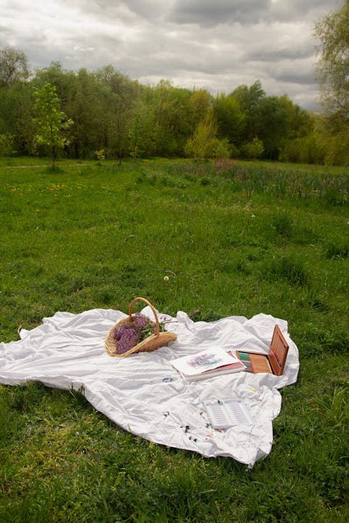 Základová fotografie zdarma na téma deka, košík, květiny