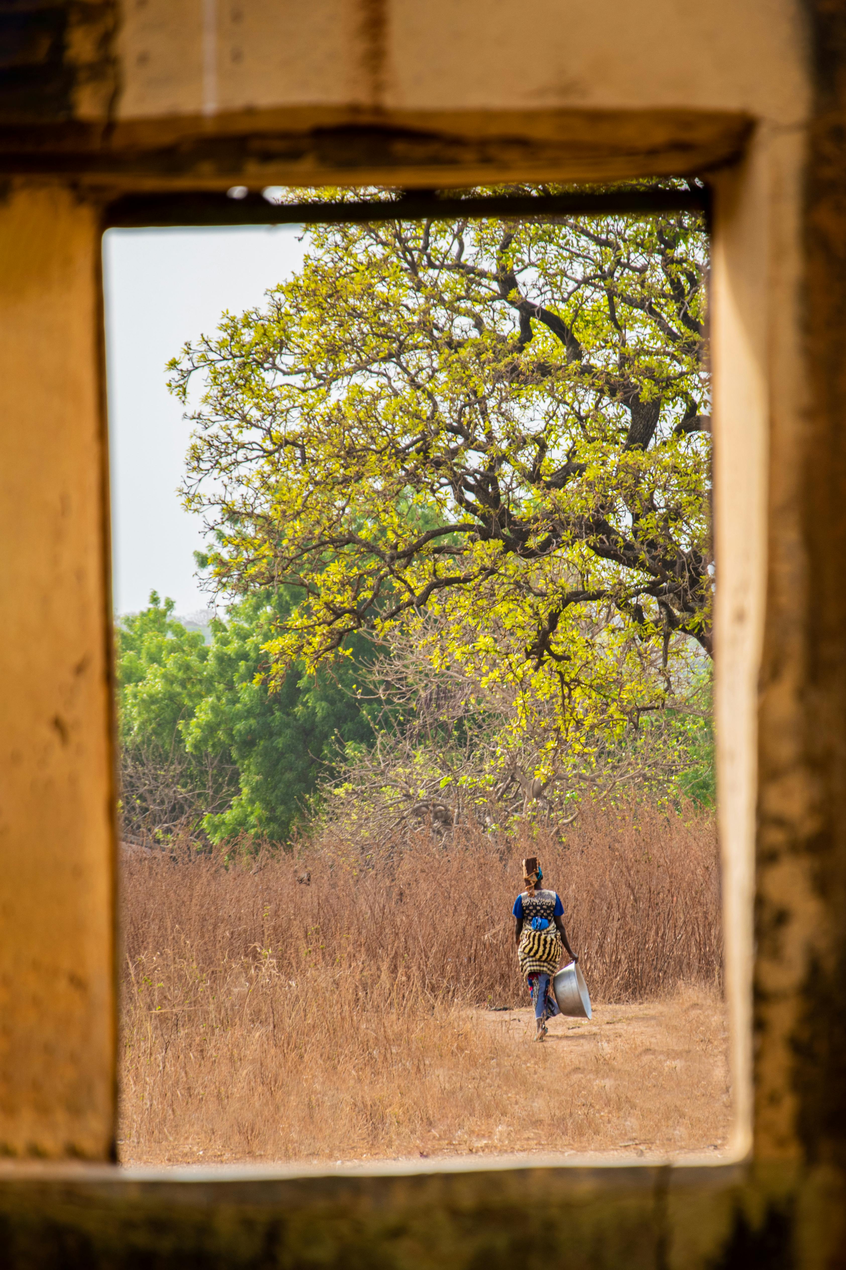 A woman carrying a bundle and walking through a rural field, framed by a window.