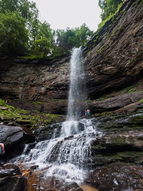 Foto stok gratis air, air terjun, alam