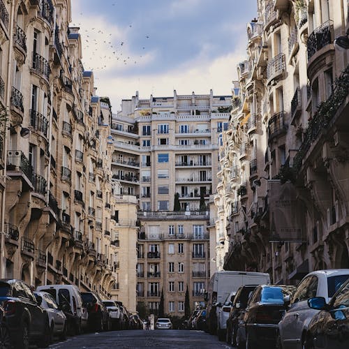 Symmetrical View of Haussmann Buildings in Paris