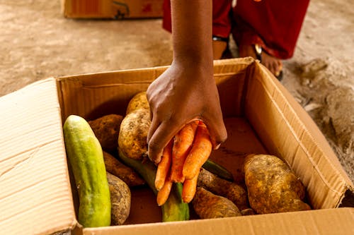 Fotos de stock gratuitas de Fresco, mano, patatas