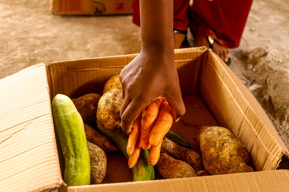 A person selects fresh carrots from a cardboard box filled with vegetables.
