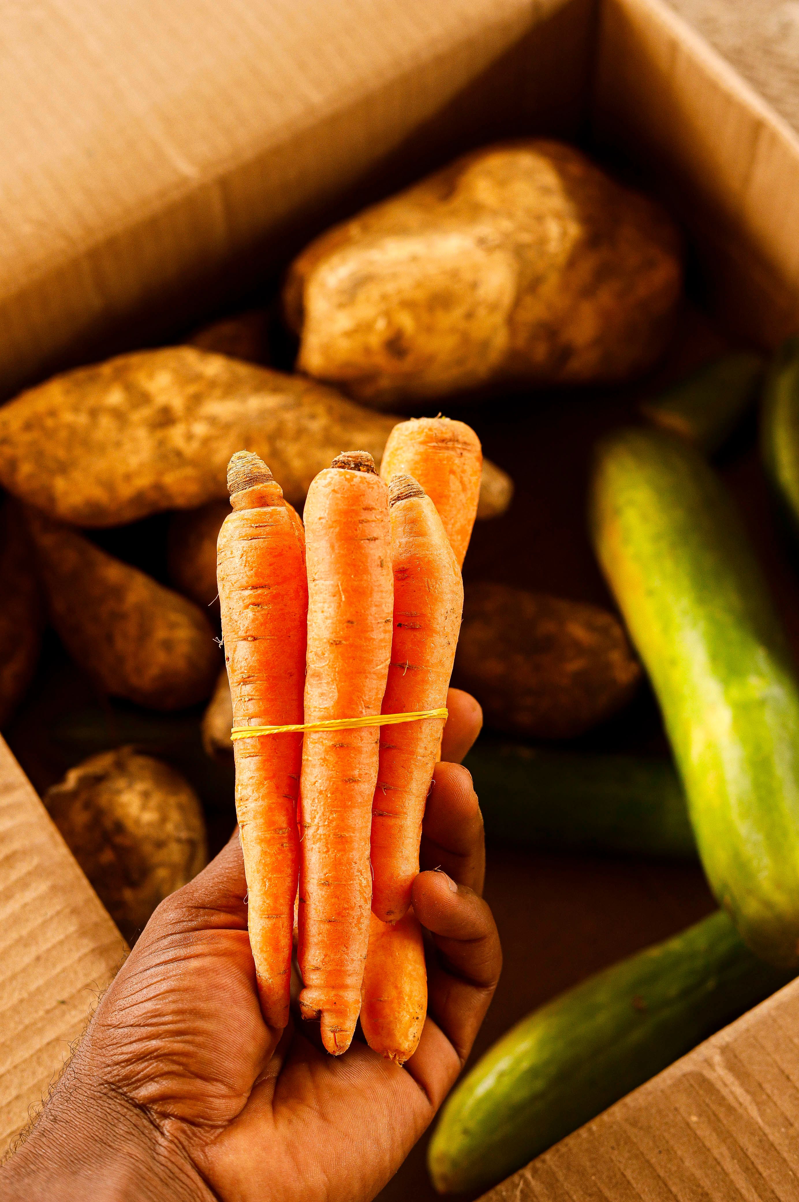 A short toolkit for oat-friendly meals