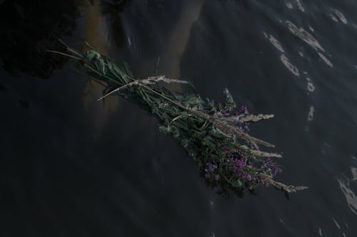 Darmowe zdjęcie z galerii z bukiet kwiatów, kwiaty, latający