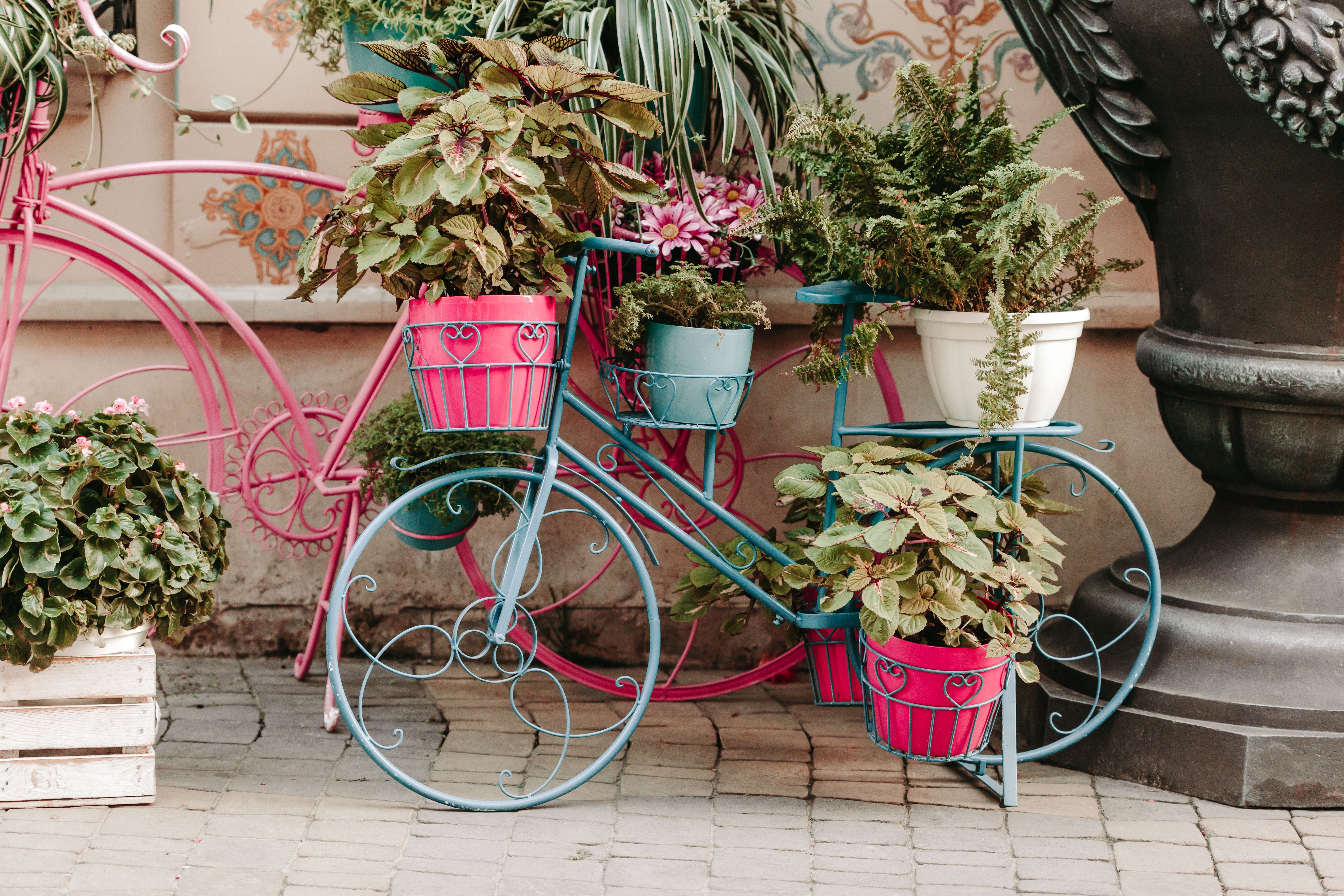 outdoor plant stand