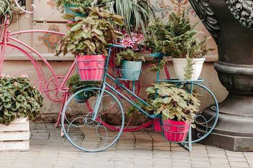 Free A Bicycle With Plants Stock Photo