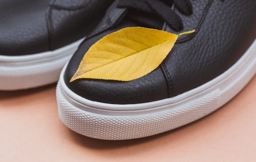 Yellow Leaf on Black Sneakers