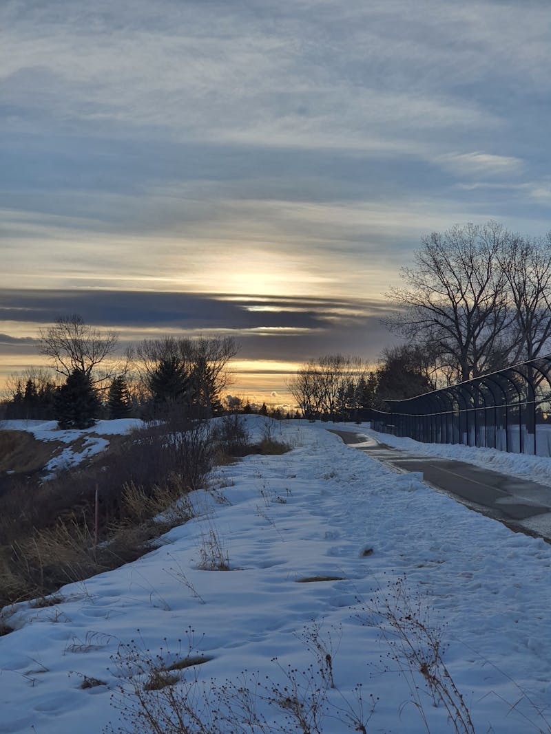 Shampoo em barra sólido com aroma de alecrim, posicionado ao lado de ramos frescos da erva.