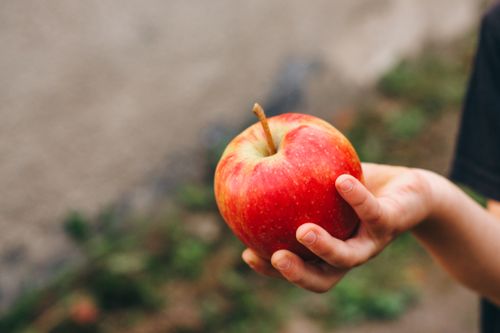 Free A close-up shot of a hand holding a fresh red apple outdoors with a blurred background, symbolizing natural freshness. Stock Photo