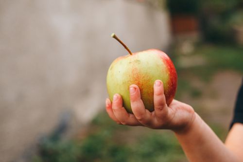 Free Close-up of a child's hand holding a fresh apple outdoors against a blurred background. Stock Photo