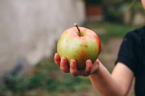 Free Close-up of a hand holding a green and red apple, with blurred outdoor background. Stock Photo