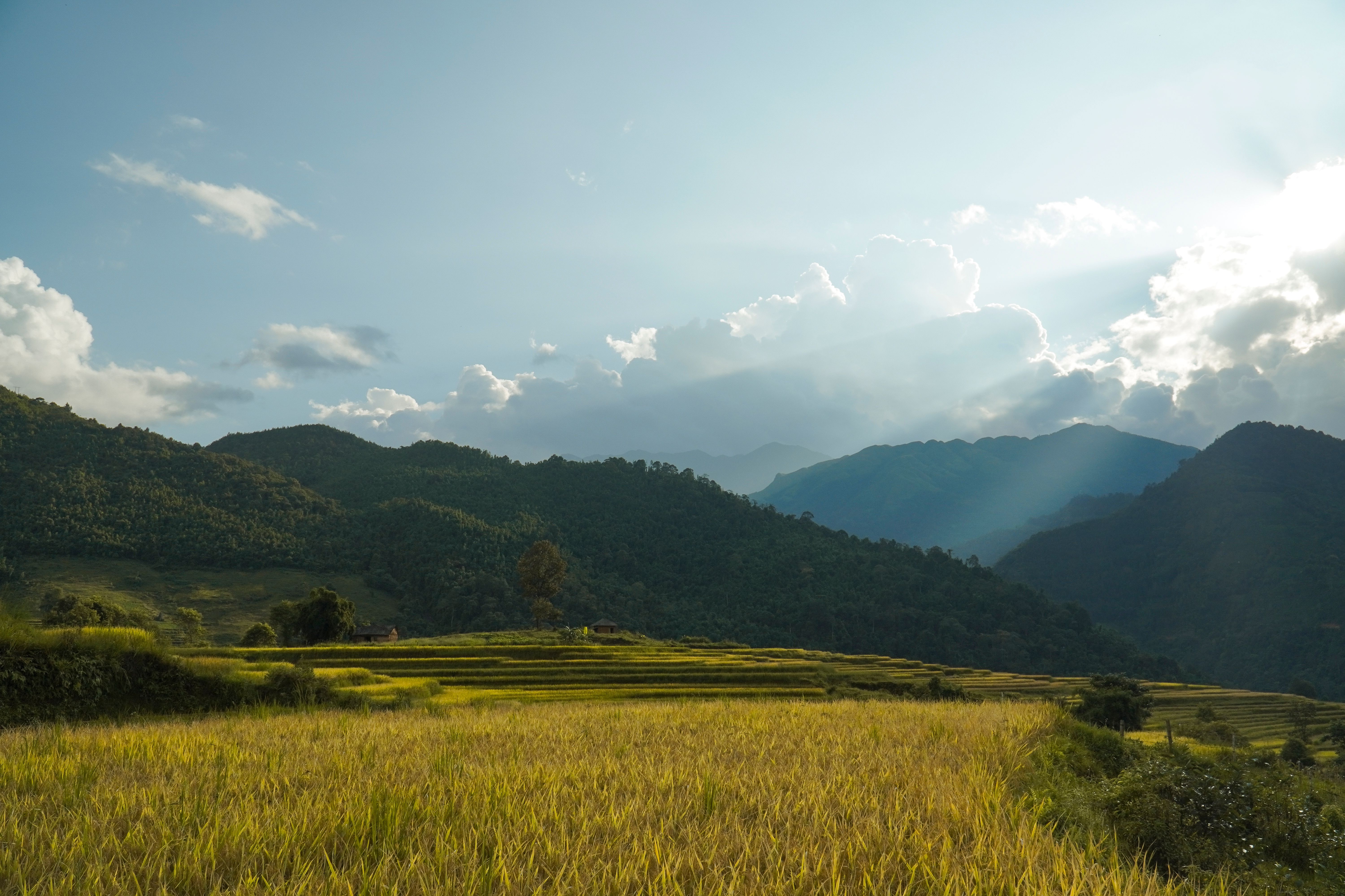 Idyllic Landscape of a Field and Mountains · Free Stock Photo