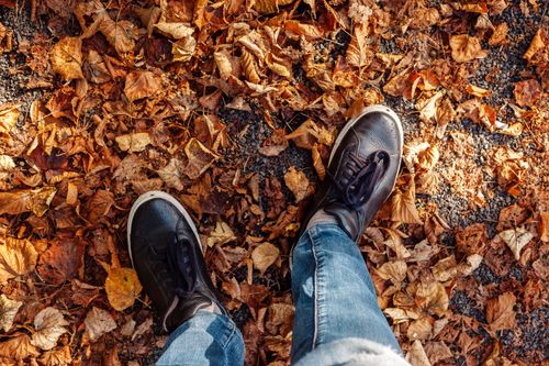 Free Top view of leather shoes stepping on vibrant dry leaves during fall. Stock Photo