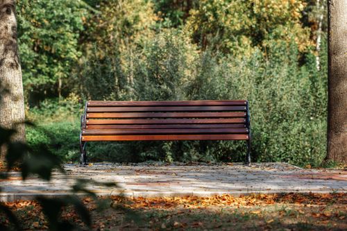 Free A wooden bench in a leafy park setting during fall, offering a tranquil escape. Stock Photo
