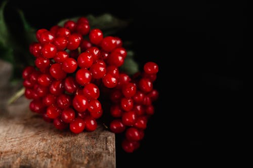 Close-Up Photo of Red Berries