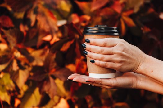 A close-up of hands with black nails holding a coffee cup against an autumn leaves background.. pexels, close, hands