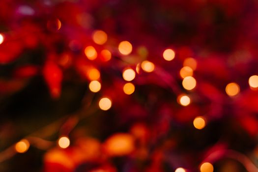 Free stock photo of abstract, bit, blur