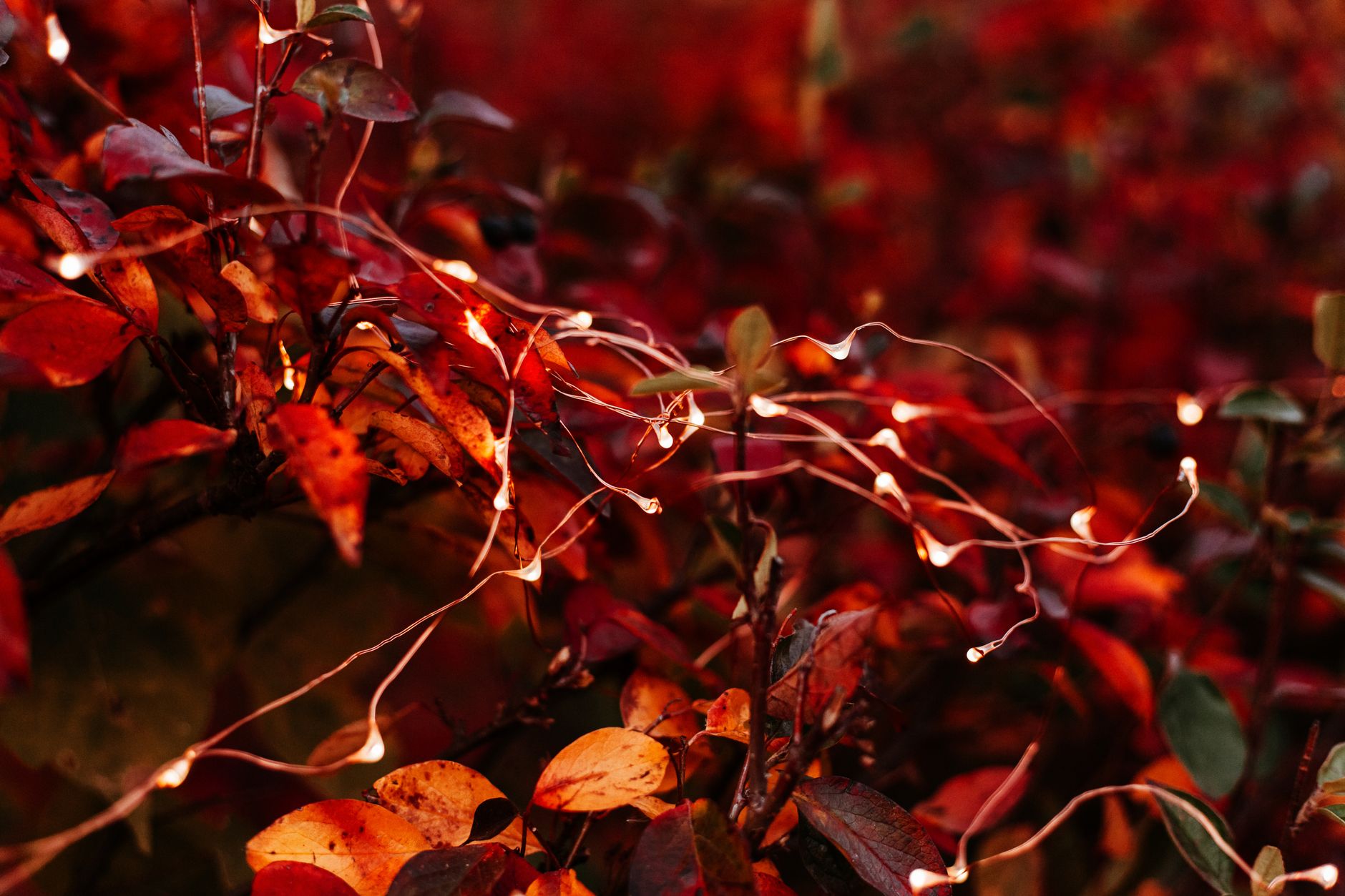 autumn slot machines glowing across a modern casino floor, warm amber lights and focused players