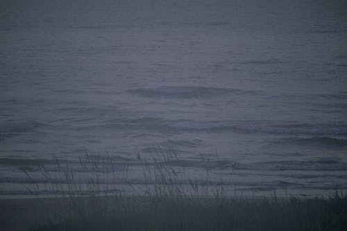 Free stock photo of atlantic ocean, beach morning, early morning Stock Photo