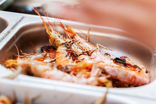 Free Cooked Shrimps on Stainless Tray Stock Photo