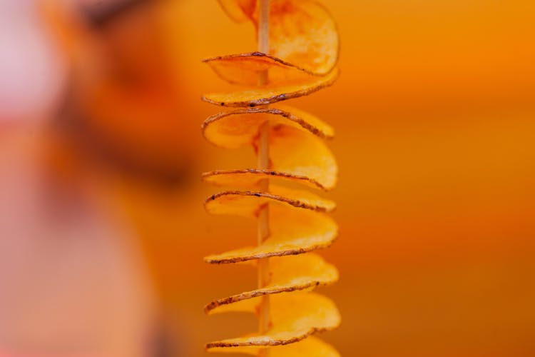 Close-Up Photo Of Spiral Potato On A Stick