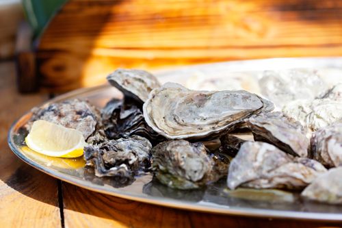 Free Close-up of freshly shucked oysters on a silver platter with lemon slices, beautifully lit indoors. Stock Photo