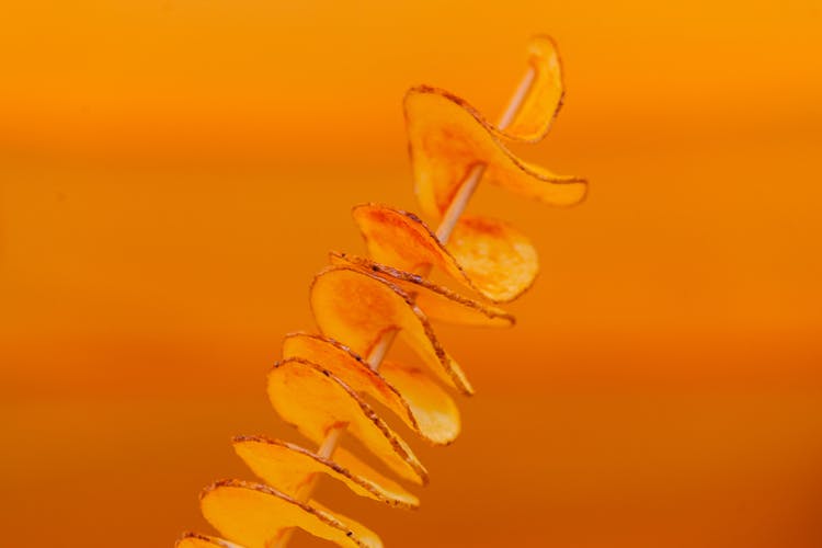 Fried Potato Twists On Stick