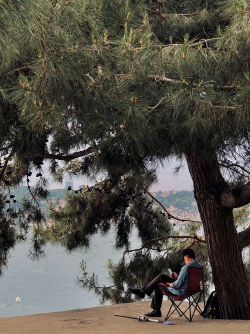 Free A person sits under a large tree by the ocean, enjoying the scenic view on a calm day. Stock Photo