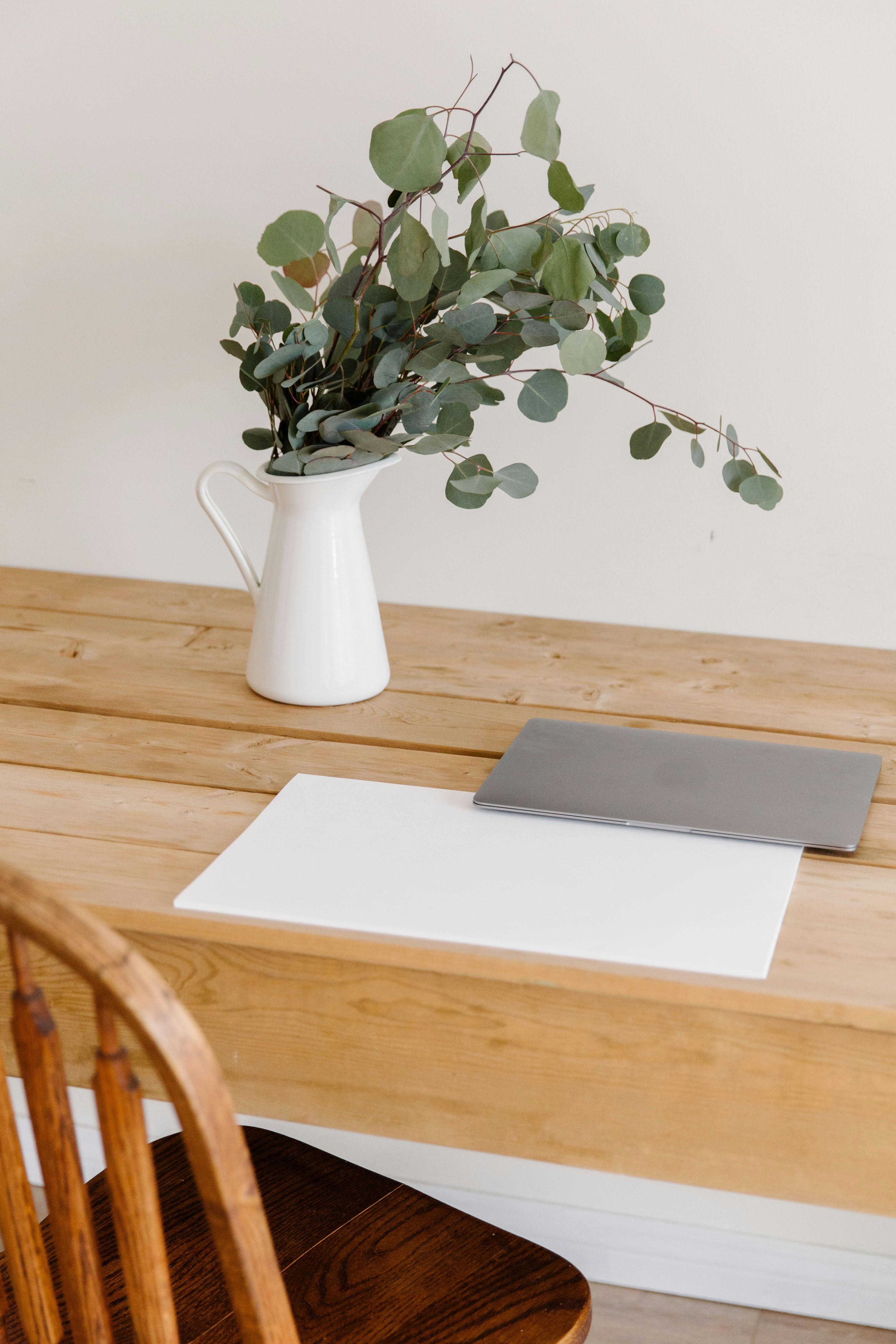 Simple minimalist workspace setup with eucalyptus vase and blank paper for a calming aesthetic.