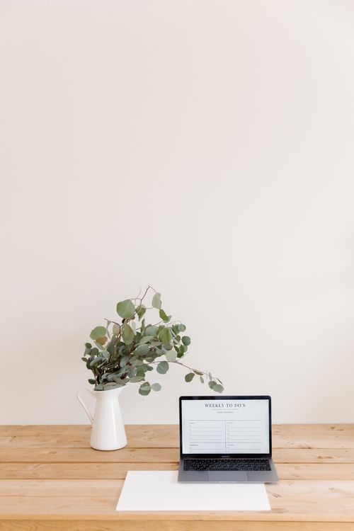 Free A serene minimalist workspace featuring a laptop and eucalyptus plant in a vase on a wooden desk. Stock Photo