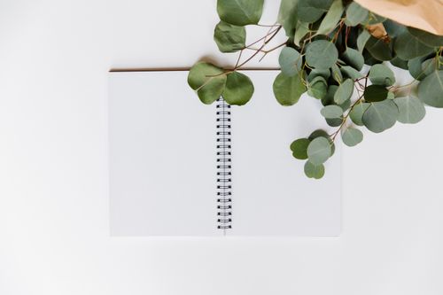 Free A top view of an open spiral notebook with eucalyptus leaves on a white background, perfect for creative projects. Stock Photo
