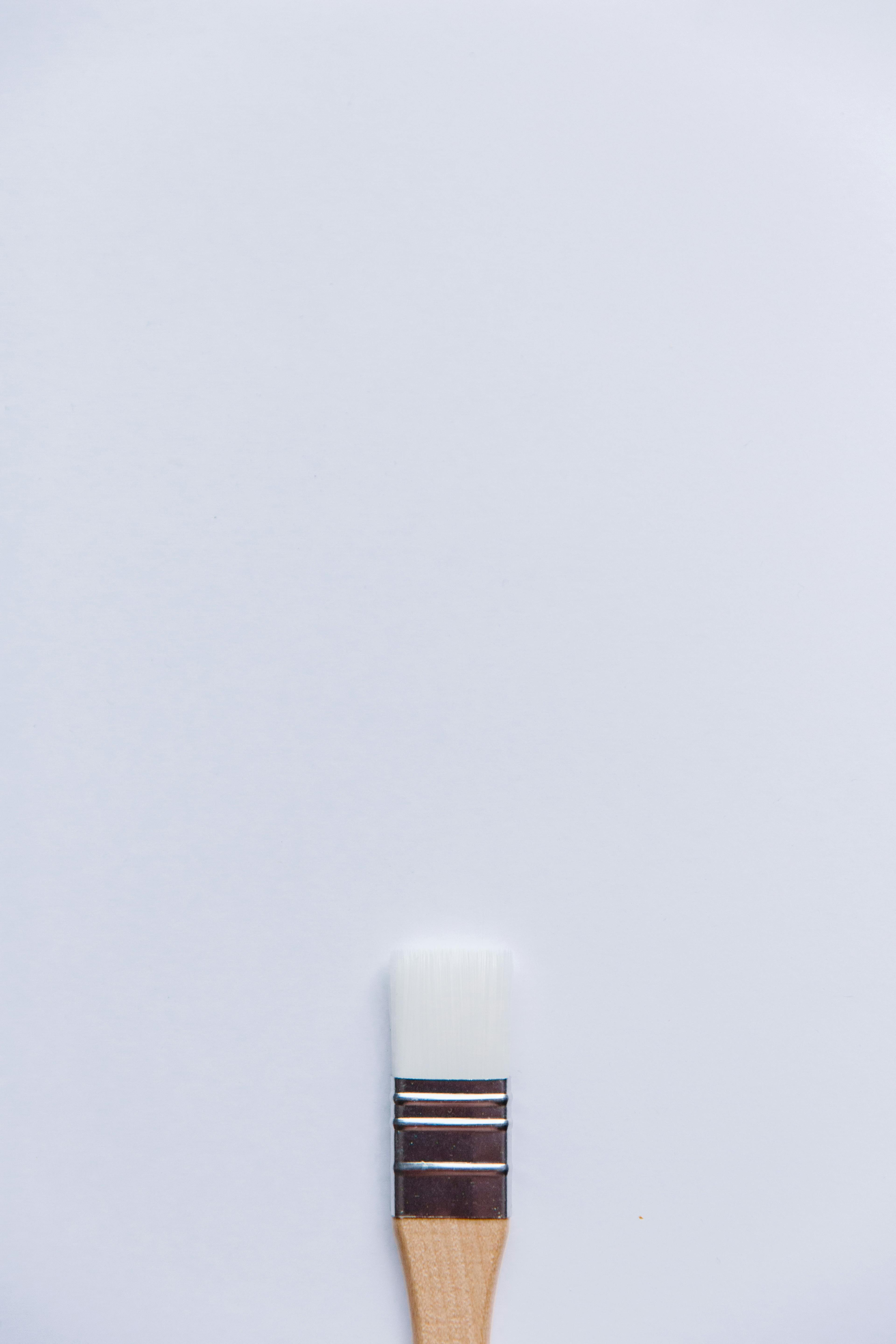 Zadarmo Fotobanka s bezplatnými fotkami na tému ateliér, ateliérové umenie, biele pozadie Fotka z fotobanky