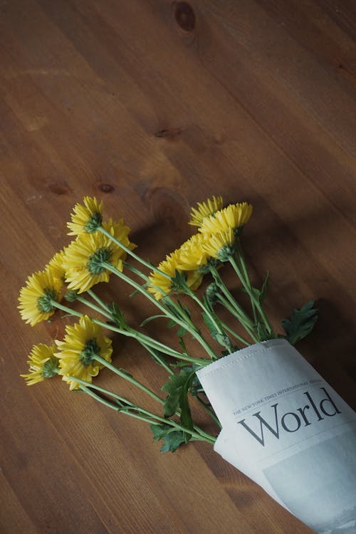 Kostnadsfri bild av blommor, bukett, daisy