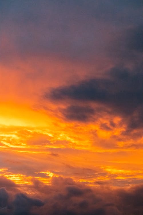 Free Orange Sky During Golden Hour  Stock Photo