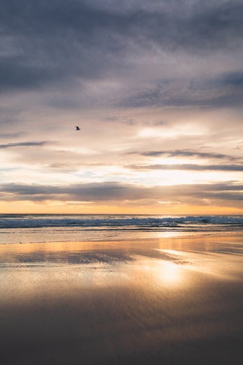 Beach Scenery at Sunset