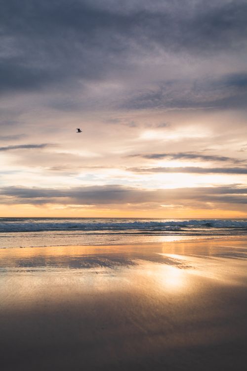 Sunset Landscape · Free Stock Photo