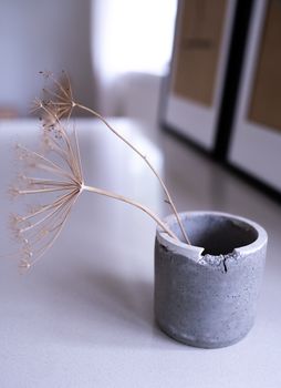 White Flower in Gray Pot