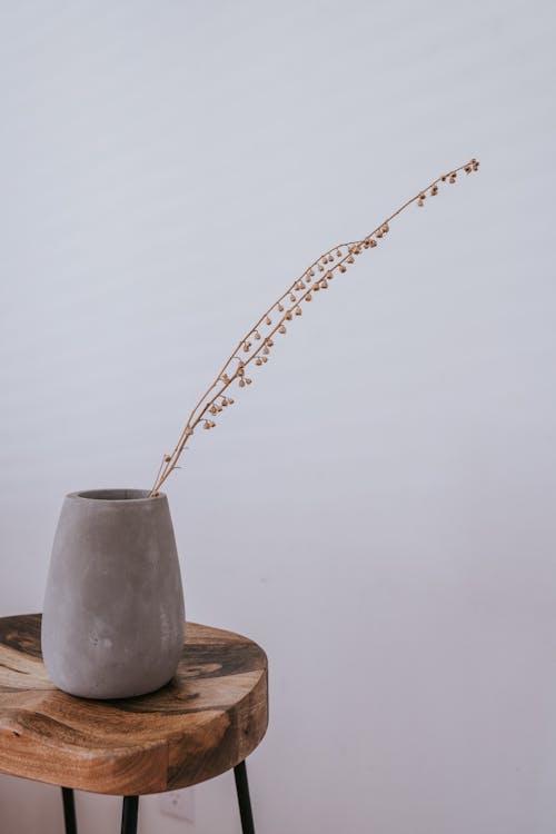 Still Life with Dry Plant in a Gray Vase on a Wooden Stool