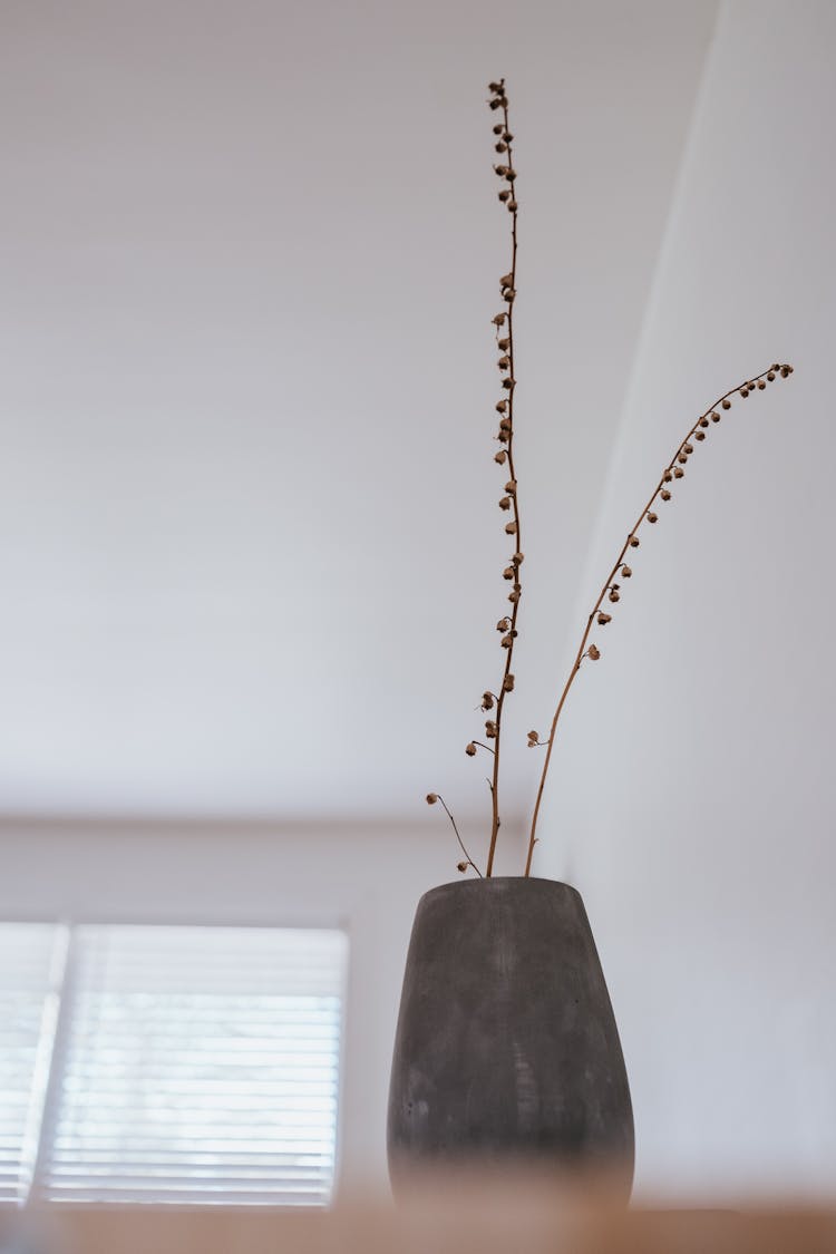 Brown Dried Flowers On Gray Vase