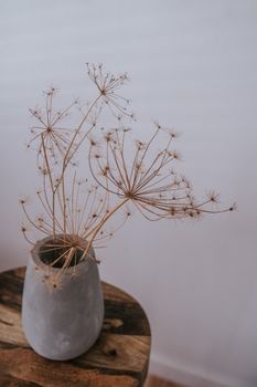 Brown Plant on White Ceramic Vase