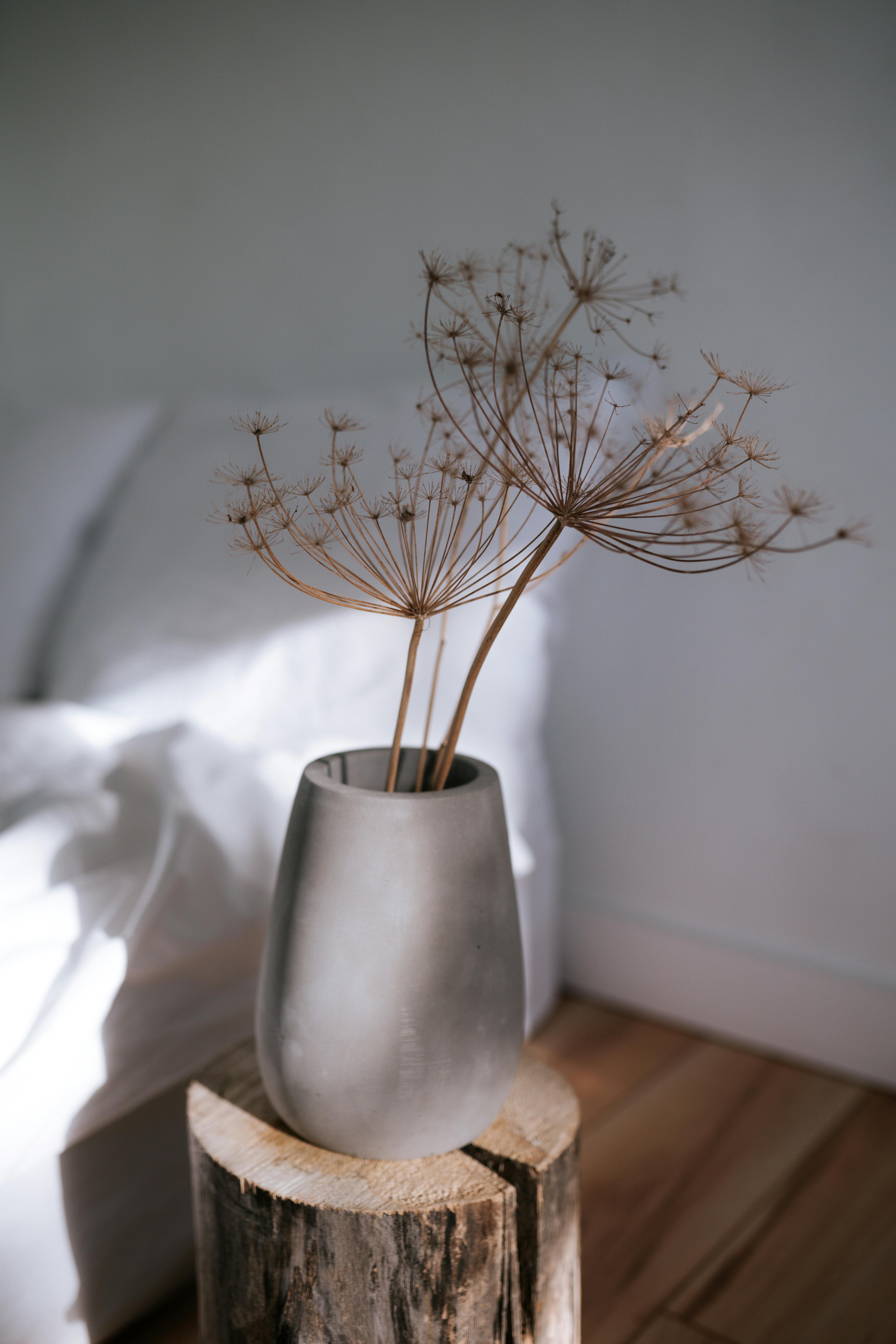 Minimalist indoor setup of dried flowers in a sleek vase on a rustic wood base.