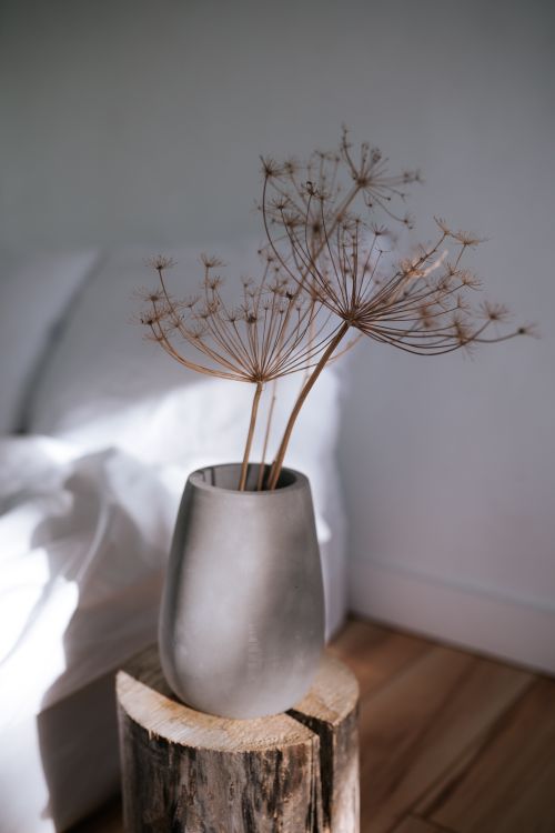 Free Minimalist indoor setup of dried flowers in a sleek vase on a rustic wood base. Stock Photo