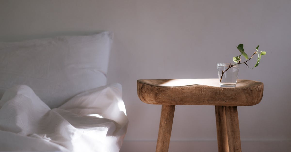 Sunlit minimalist bedroom featuring white linens and a wooden side table with a plant.