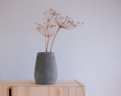 Still Life with Dry Dills in a Gray Vase