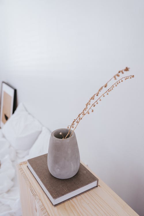 Still Life with Gray Vase on a Brown Cover Book and Dry Plant